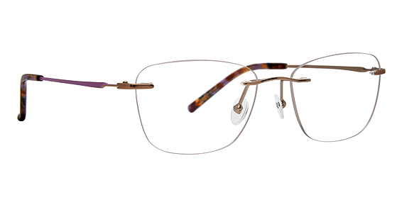 Totally Rimless Meraki 355