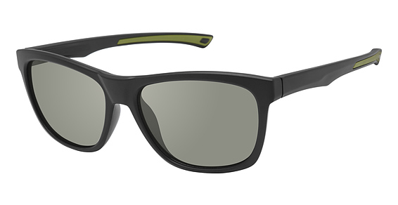 CALLAWAY TROIA