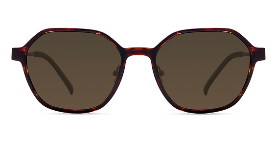 Eco KIM SUN CLIP