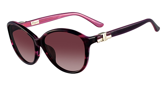 Salvatore Ferragamo SF645S (Sun)