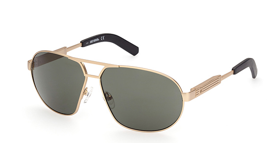 Harley-Davidson HD1005X