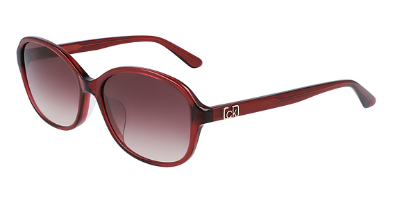 Calvin Klein CK20550SA